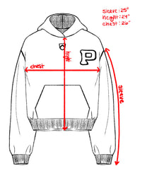 UPENN Hoodie - Maroon